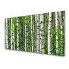 tulup.si Slika na akrilnem steklu Narava rastlin forest trees 120x60 cm 4 obešalnika