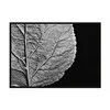 shumee PLAKAT ZA SLIKE V OKVIRJU 43x33 cm List P908