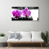 tulup.si Slika na akrilnem steklu Orhideje narava 120x60 cm 2 obešalnika