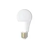Ecolite LED15W-A60/E27/2700 - LED sijalica A60 E27/15W/230V 2700K