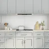 Kuhinjski zid 2 pcs *Transparent*an 100 x 60 cm
