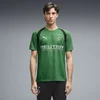 PUMA Borussia Mönchengladbach Slim Training Jersey Men, Men, Archive Green/White, XXL