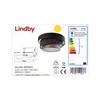 Lindby - Stropna svetilka MELIA 3xE27/60W/230V