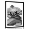 Plakat s paspartuom masažno wellness kamenje u crno-bijelom dizajnu - 20x30 no frame