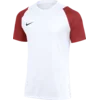 Nike Dres Dri-FIT Academy II