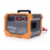 Avto polnilec 12/24V 30/250Ah 60478