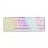 WHITE SHARK tipkovnica GK-2023 SHINOBI-W