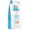 Brit Care Grain-Free Junior Large Breed losos in krompir - Varčno pakiranje: 2 x 12 kg