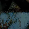 Alexander Turnquist - Hallway Of Mirrors (LP)