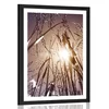 Plakat s paspartujem poljska trava - 30x45 no frame