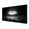 tulup.si Slika na akrilnem steklu Diamond graphics umetnostne 140x70 cm 2 obešalnika