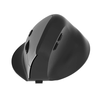 INF Ergonomska navpična brezžična miška - 2.4G + Bluetooth dvojni način Grey, (5000091385)