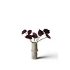 Botané umetni šopek dekorativni 60 x 11 cm