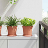 Kružni Pladanj za Cvijeće 24 pcs Crvena cigla O 14 x 2 cm