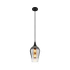 Globo 15552H3 - Viseći luster na sajli LAVUS 1xE27/60W/230V prečnik 18 cm crne boje