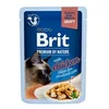 Brit Premium Cat D fileti Gravy Chick Sterilizirano 85g