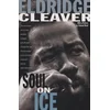 Soul on Ice