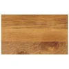 Ploča stola 60x20x3,8 cm Pravokutna Masivno Drvo Mango