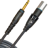 DAddario Planet Waves PW GMMS 10