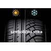 Sebring Formula VAN+201 ( 225/65 R16C 112R )