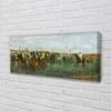 tulup.si Slika na platnu Konji dirka lov 125x50 cm