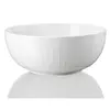 Rosenthal SKLEDA