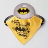 STEFAN Portikla Batman