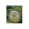 Goike gong 91cm/36 Caladrius