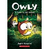 Time to Be Brave: A Graphic Novel (Owly #4)