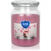 eoshop Sveča v kozarcu SPA VRT dišeč 500g