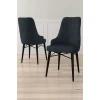 Hanah Home Set stolica Neta, 46x95x42 cm, 4 komada, Antracit-crna