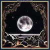 Luzius Schuler - Moon is the oldest TV (LP)