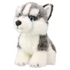 Ozzo plush plišana igračka haski 18cm ( 879201 )