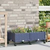 Vrtni saksija s kotačima Plavo Sivo 80 x 40 x 33 cm PP
