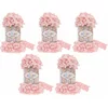 Alize Puffy SET 161 Powder