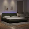 vidaXL Posteljni okvir z LED brez vzmetnice svetlo siva 200x200 cm žamet