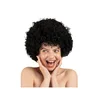 Afro lasulja črna kodrasta – pustna party lasulja