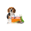 DERMOSCENT Ampula za pse 10-20kg Essential 6 spot-on 1.2ml