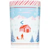 DW Home Scene & Stripes Peppermint Bark dišeča sveča 431 g