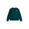 THE NORTH FACE Majica EVOLUTION turkizna/črna/bela