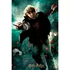 PRIME 3D - Puzzle Harry Potter: Ron Weasley 3D - 300 kosov