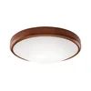 LED plafonsko svetlo 1xLED/24W/230V
