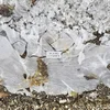 Tim Barnes - Lost Words (LP)