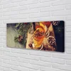 tulup.si Slika na platnu Zimski čaj klinčki 140x70 cm