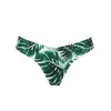 SugarShape Bikini hlačke Monaco kremna/zelena/svetlo zelena