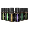Aromatherapy set ulja za osvezivace Anjou AJ-ES001 6 aroma/10ml