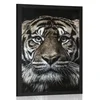 Plakat tiger - 40x60 no frame