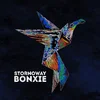 Stornoway - Bonxie (10th Anniversary Edition) (Deluxe Edition) (Blue Eco Coloured) (LP)