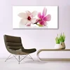 tulup.si Slika na akrilnem steklu Cvetovi rastlin narava 140x70 cm 2 obešalnika
