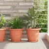 Kružni Pladanj za Cvijeće 24 pcs Crvena cigla O 14 x 2 cm